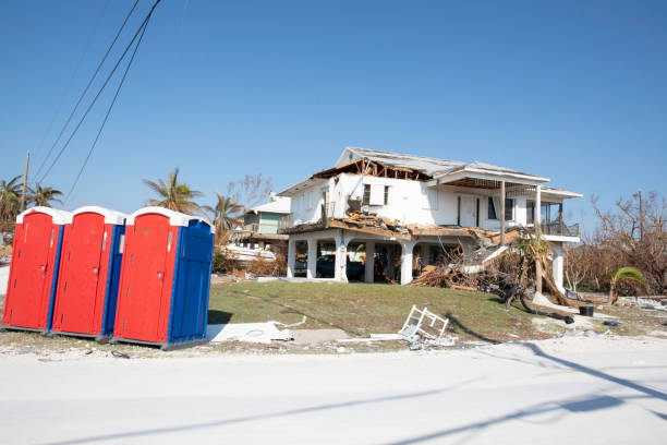 Best Storm Damage Tree Cleanup  in Springfield, NJ